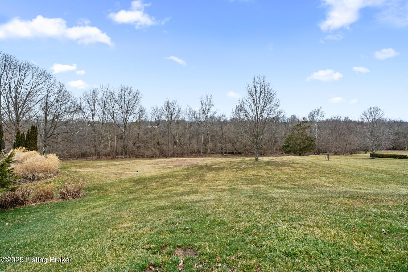 14019 Hickory Ridge Road Louisville, KY 40245 - Photo 2 of 58 DSC02114