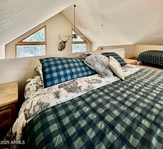 a view of a yard with plants and trees