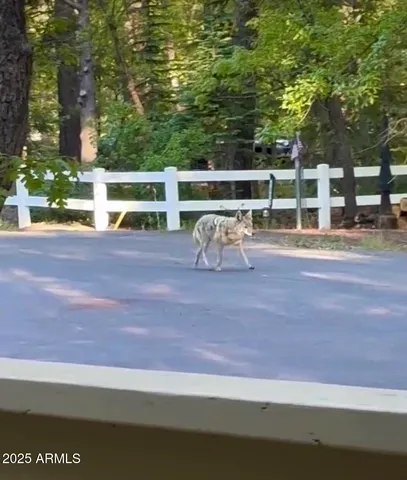 $499,950 | 3122 Briarwood Lane, Pinetop, AZ 85935