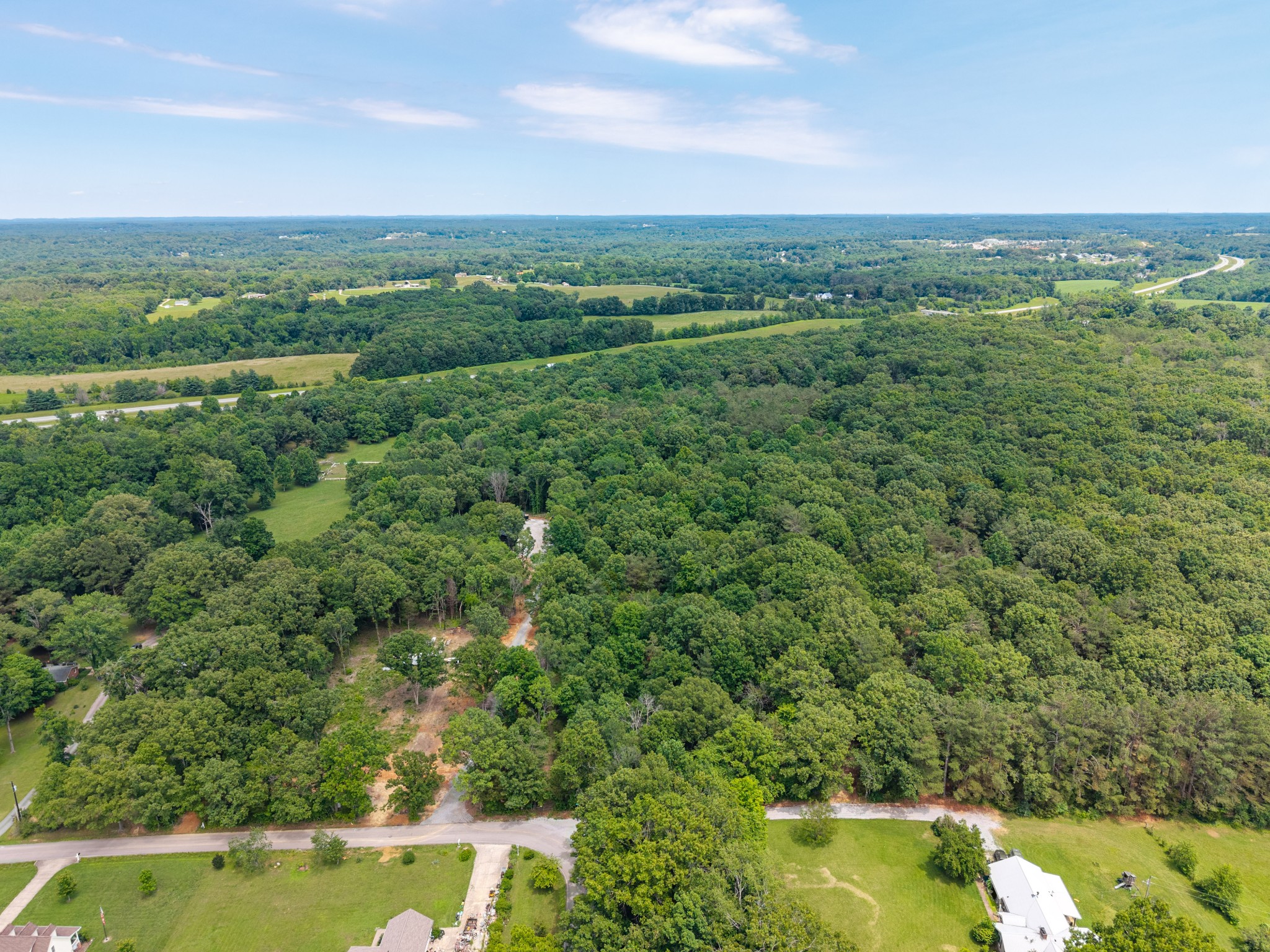 0 Eli Road Bon Aqua, TN 37025 - Photo 3 of 14