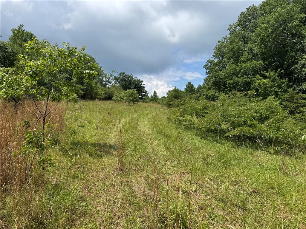 3.5-ac Ben Higgins Road Dahlonega, GA 30533 - Photo 17 of 21