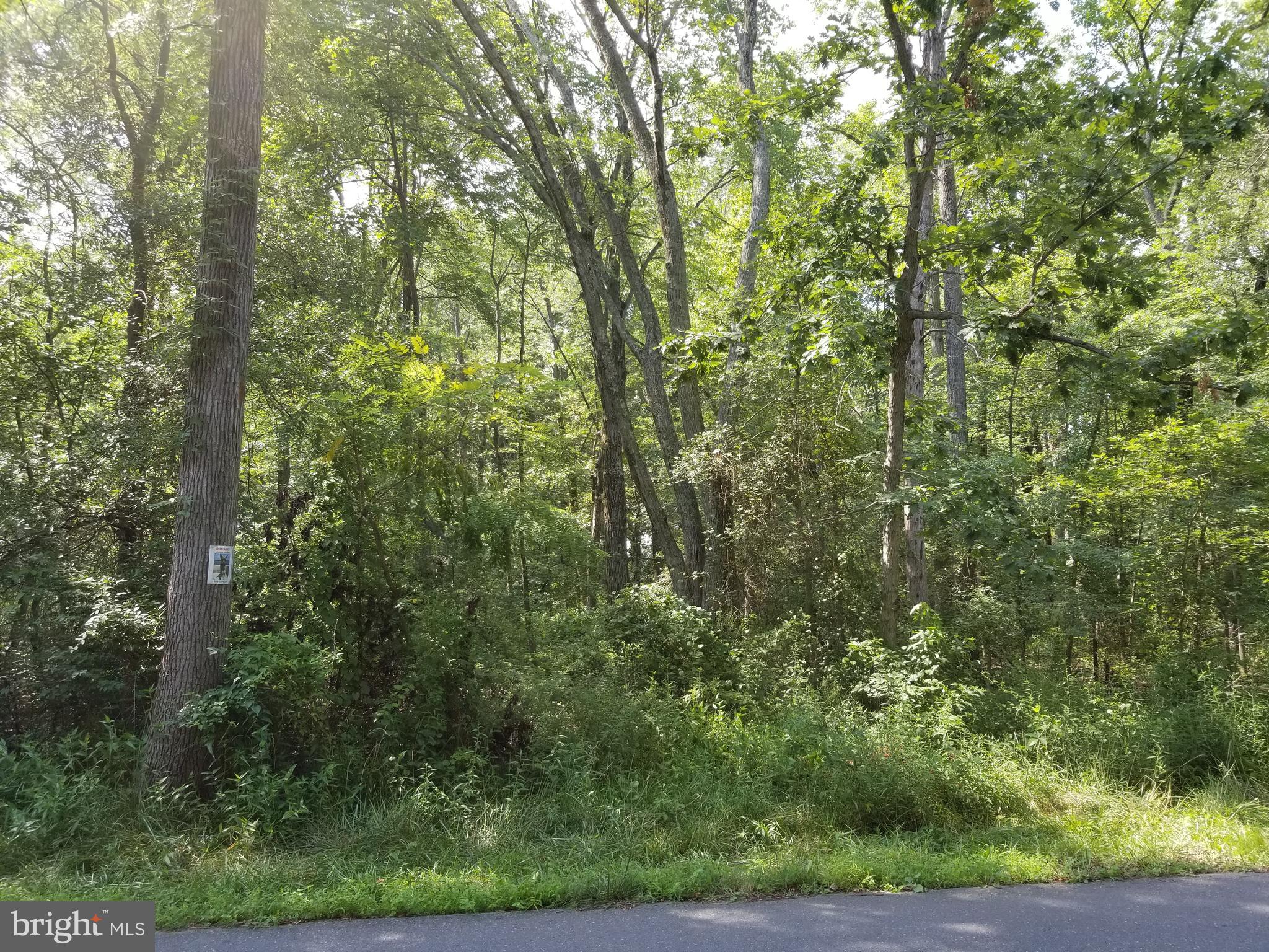 Lot 159 Revolea Beach Road Middle River, MD 21220 - Photo 1 of 1 Gallery Image 1