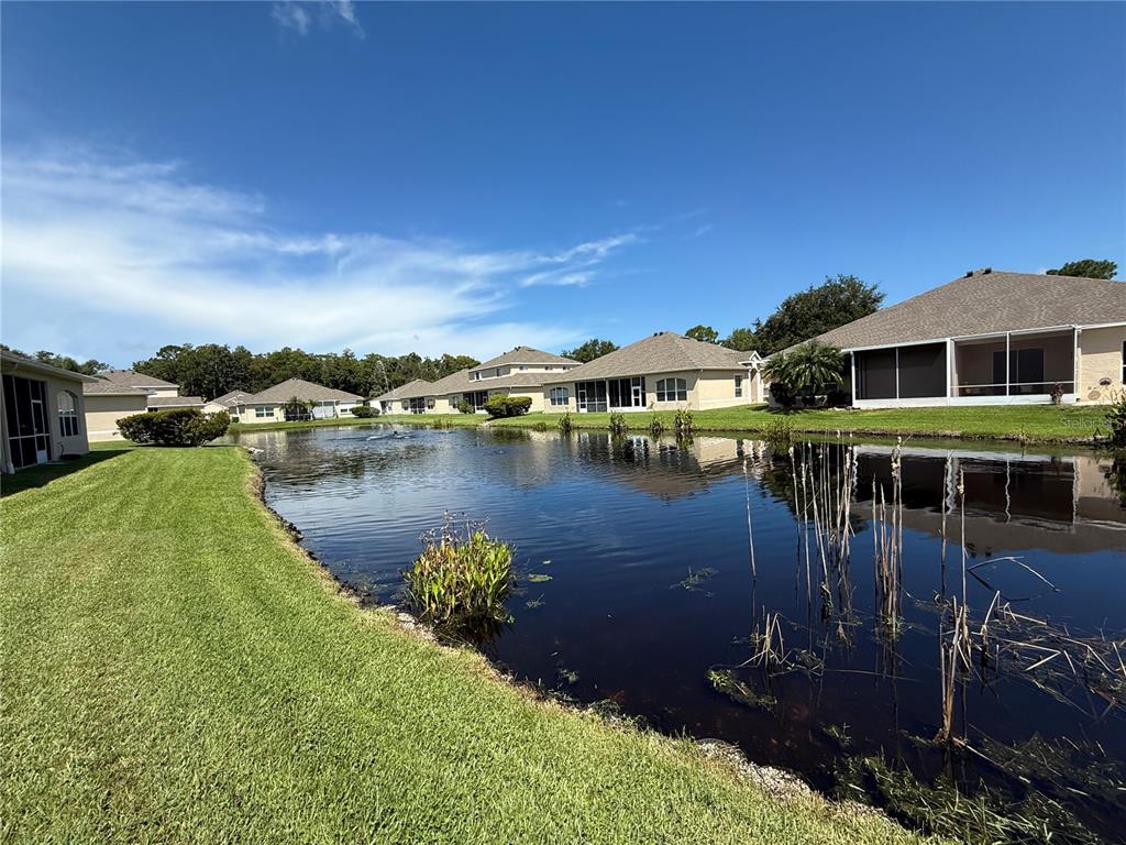 7451 Wimpole Drive New Port Richey, FL 34655 - Photo 2 of 32