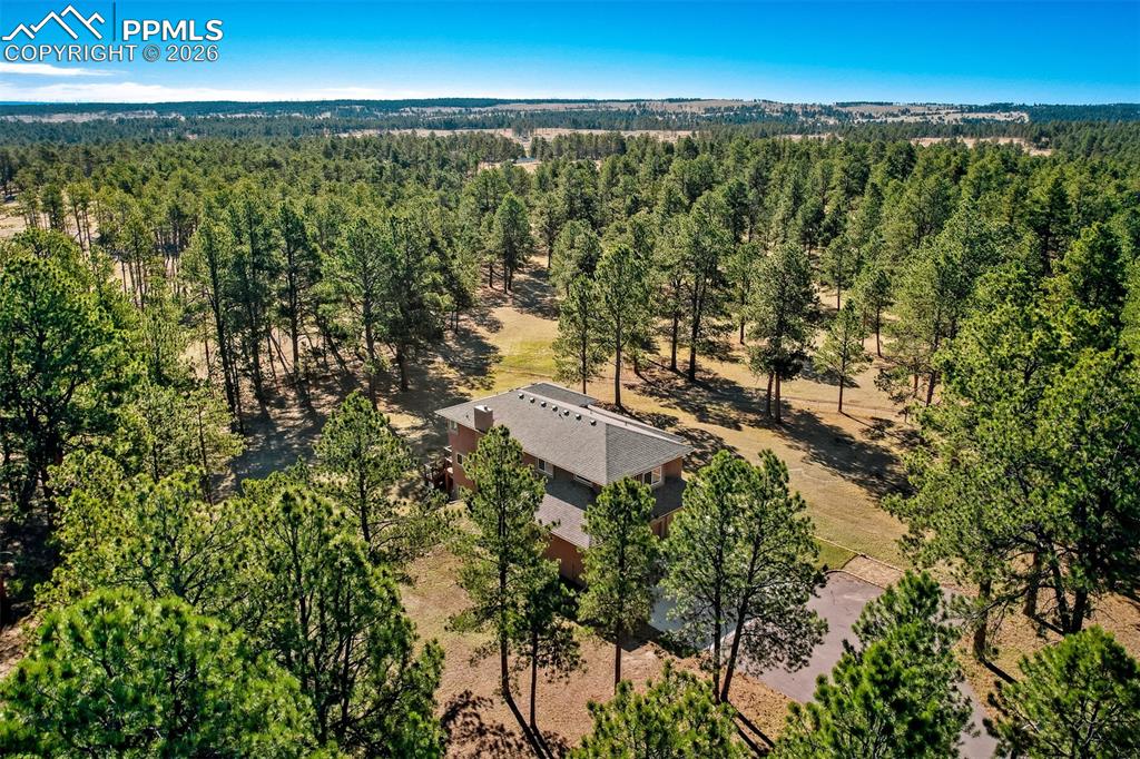 16755 Winchester Road Colorado Springs, CO 80908 - Photo 49 of 50