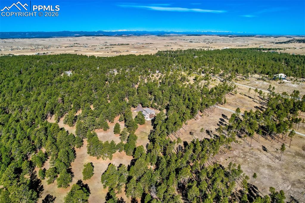 16755 Winchester Road Colorado Springs, CO 80908 - Photo 50 of 50 Located in beautiful forest