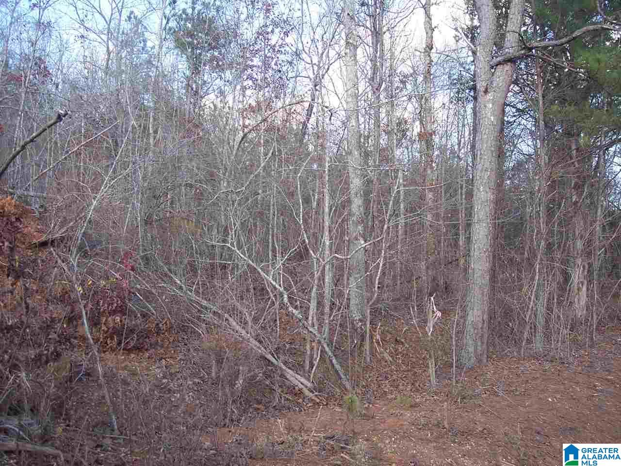 1 Dripping Rock Road, Unit 1 Jacksonville, AL 36265 - Photo 2 of 4