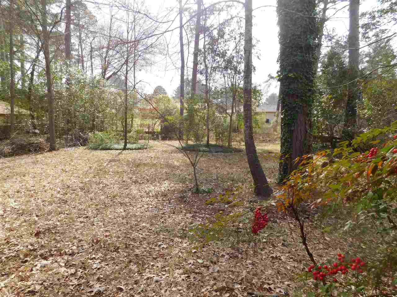 201 Whitfield Road Brandon, MS 39042 - Photo 14 of 16 Photo 14