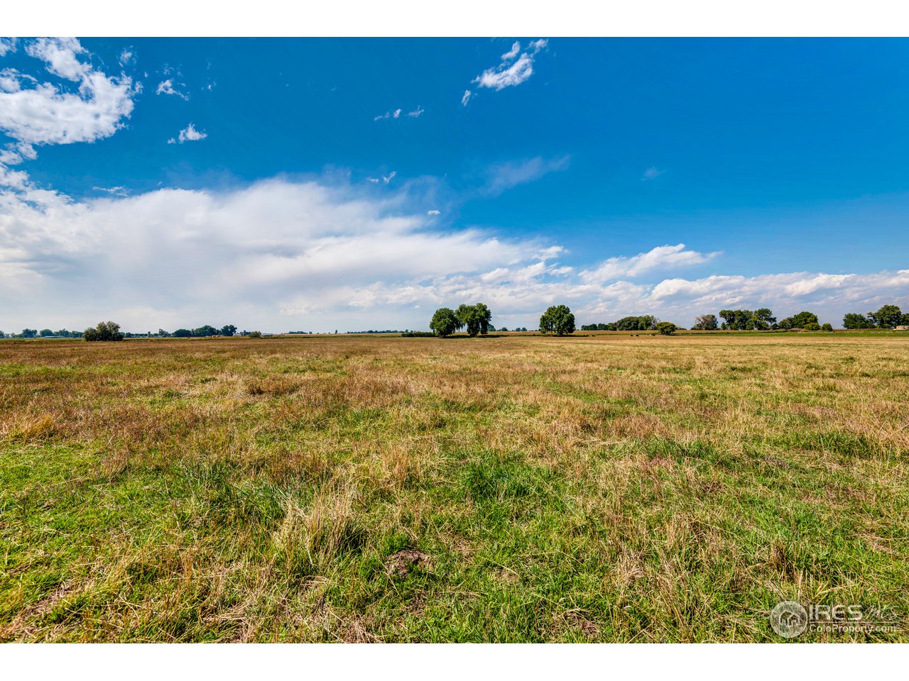 7247 East County Line Road Longmont, CO 80504 - Photo 13 of 40