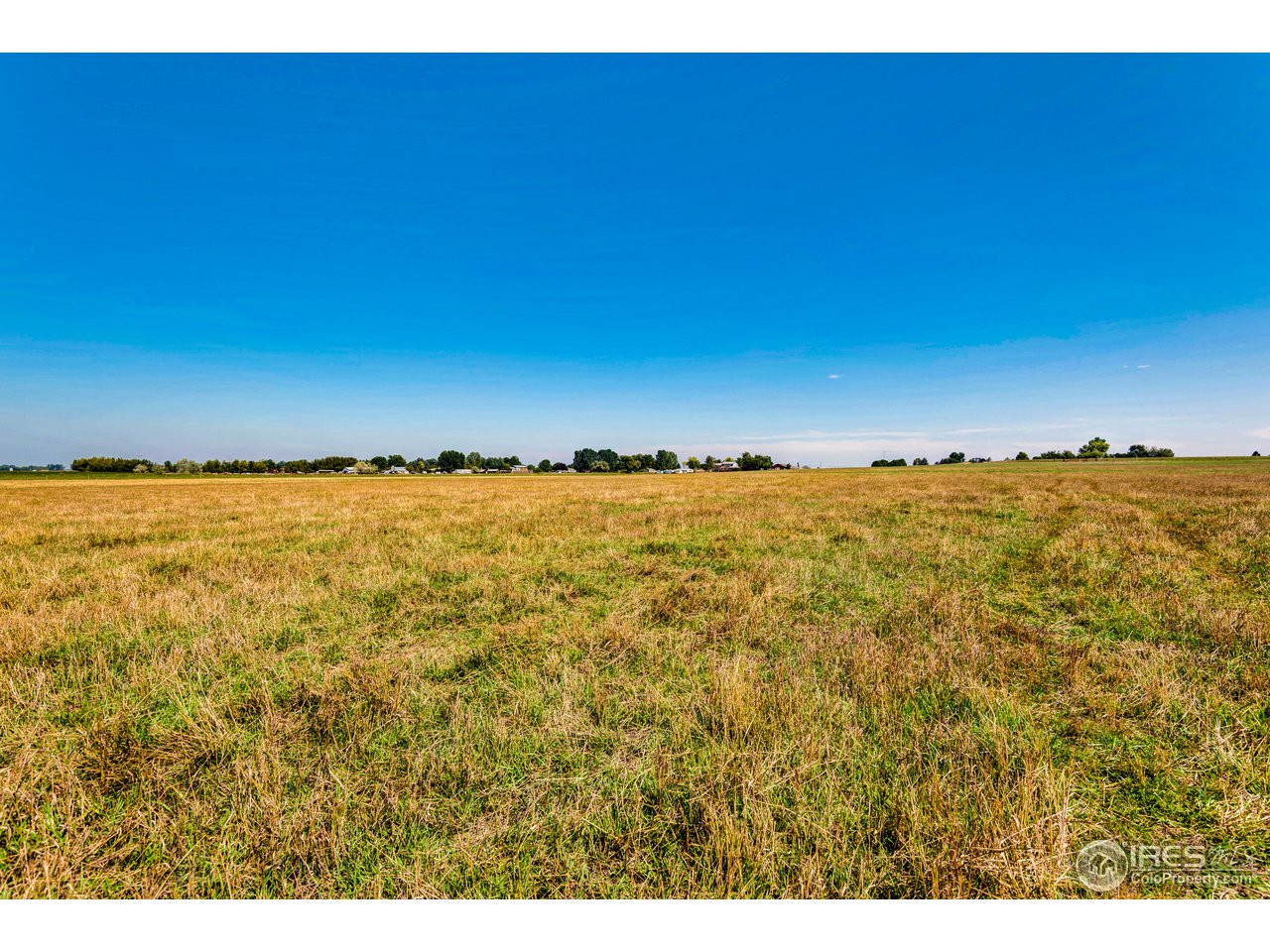 7247 East County Line Road Longmont, CO 80504 - Photo 14 of 40