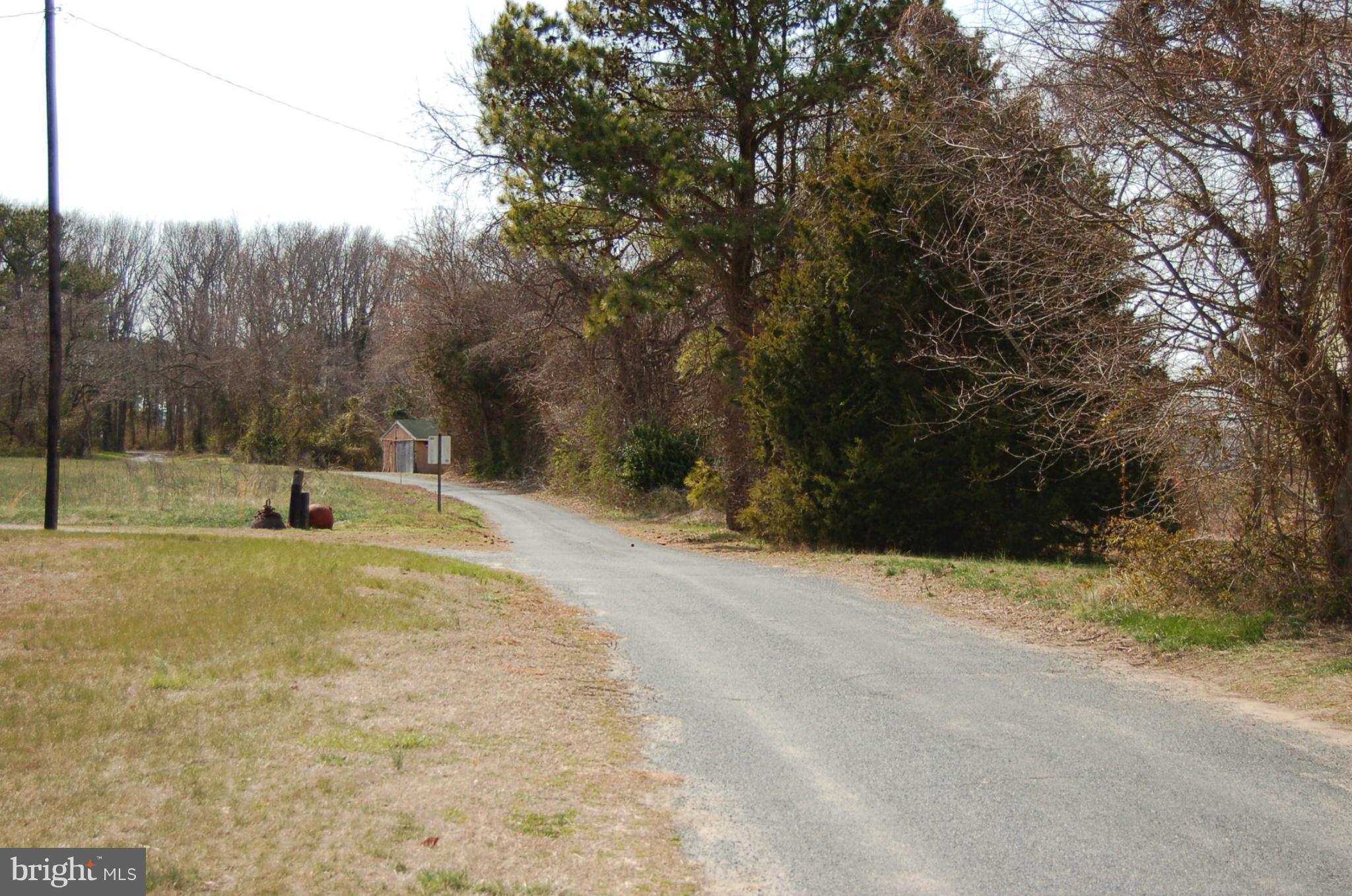 2235 Elliott Island Road Vienna, MD 21869 - Photo 24 of 25 Exterior (General)