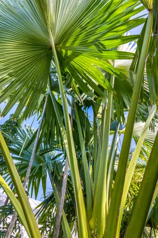 a picture of a room with a floor plan