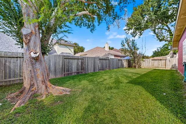 a view of a backyard with a large tree