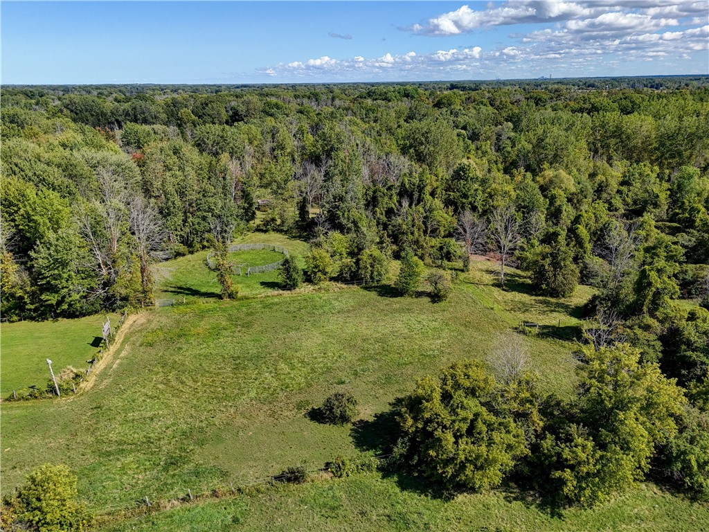 461 Lawrence Road Clarkson, NY 14420 - Photo 31 of 40