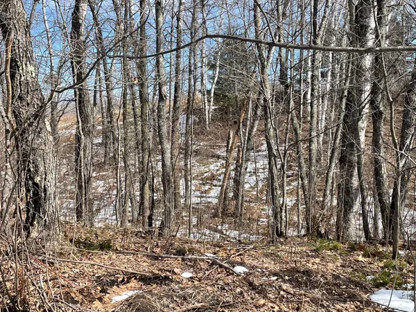 $40,000 | 6630 Voyageur's Trail, Biwabik, MN 55705