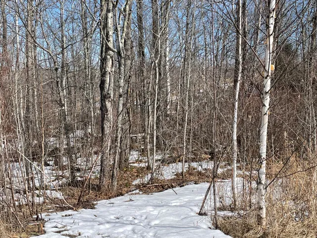 $40,000 | 6630 Voyageur's Trail, Biwabik, MN 55705