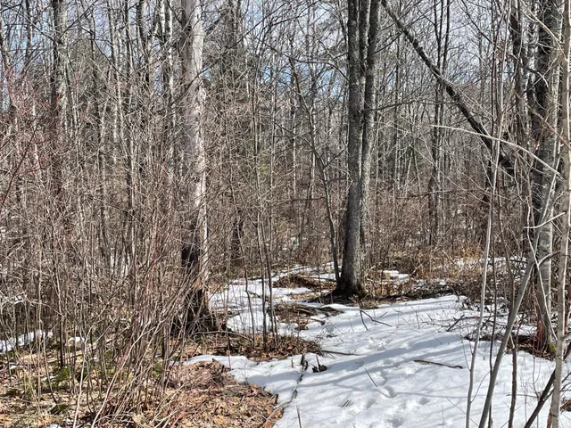 $40,000 | 6630 Voyageur's Trail, Biwabik, MN 55705