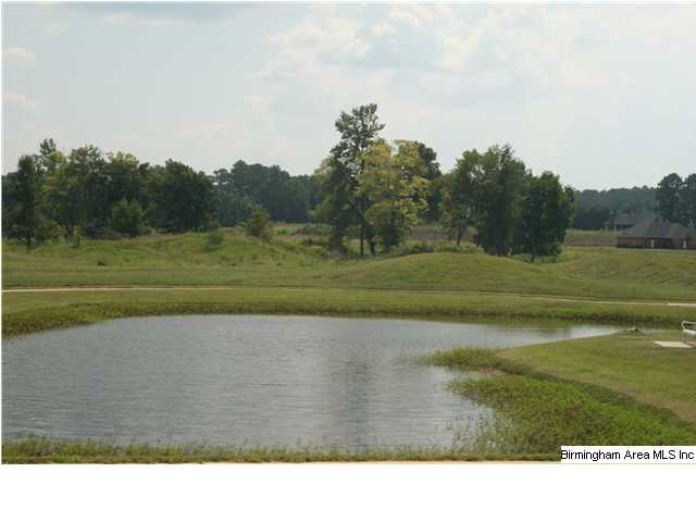 22814 Sanders Way McCalla, AL 35111 - Photo 10 of 18