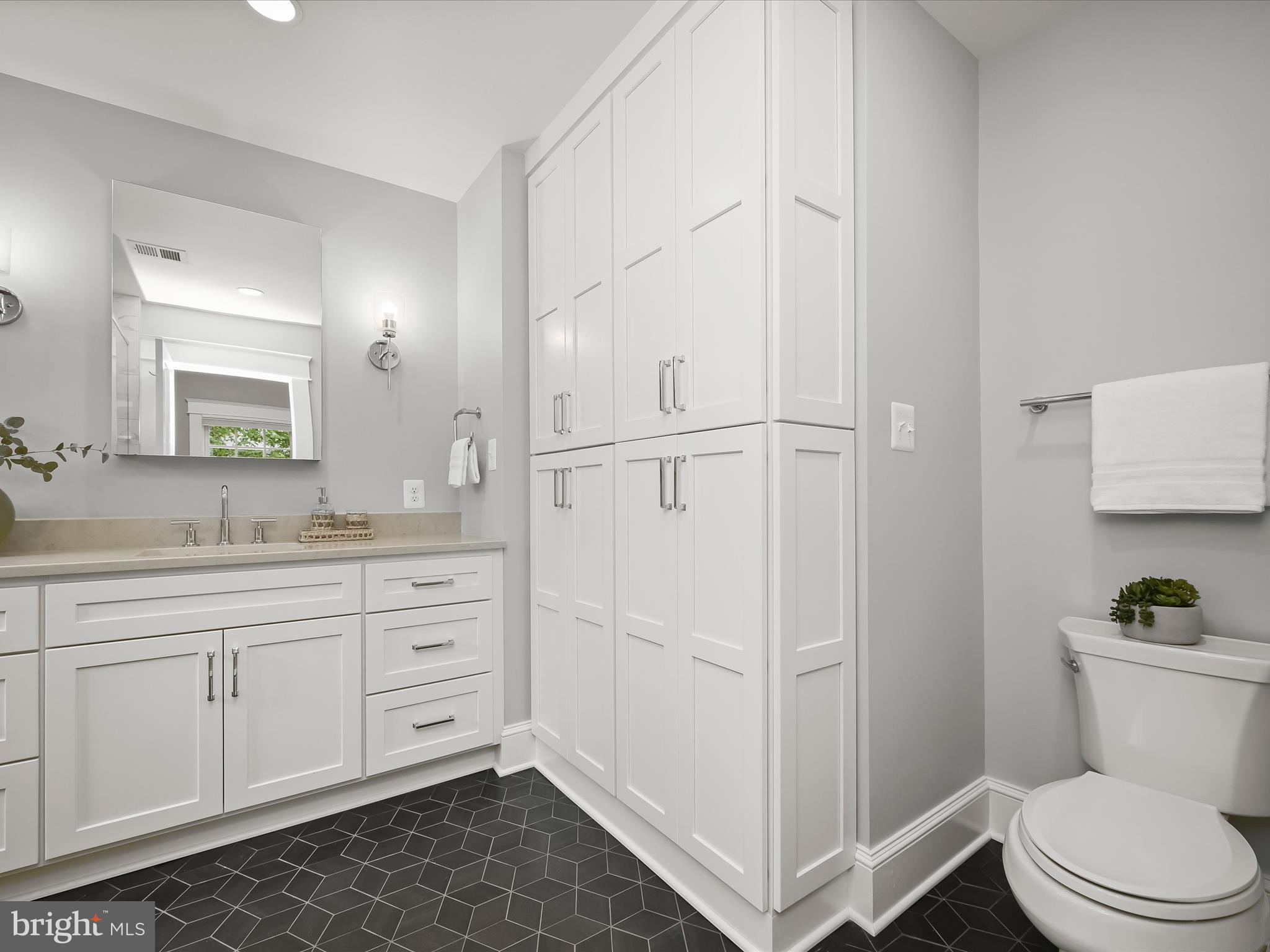 3118 17th Street North Arlington, VA 22201 - Photo 39 of 96 Newly renovated primary bathroom with linen closet