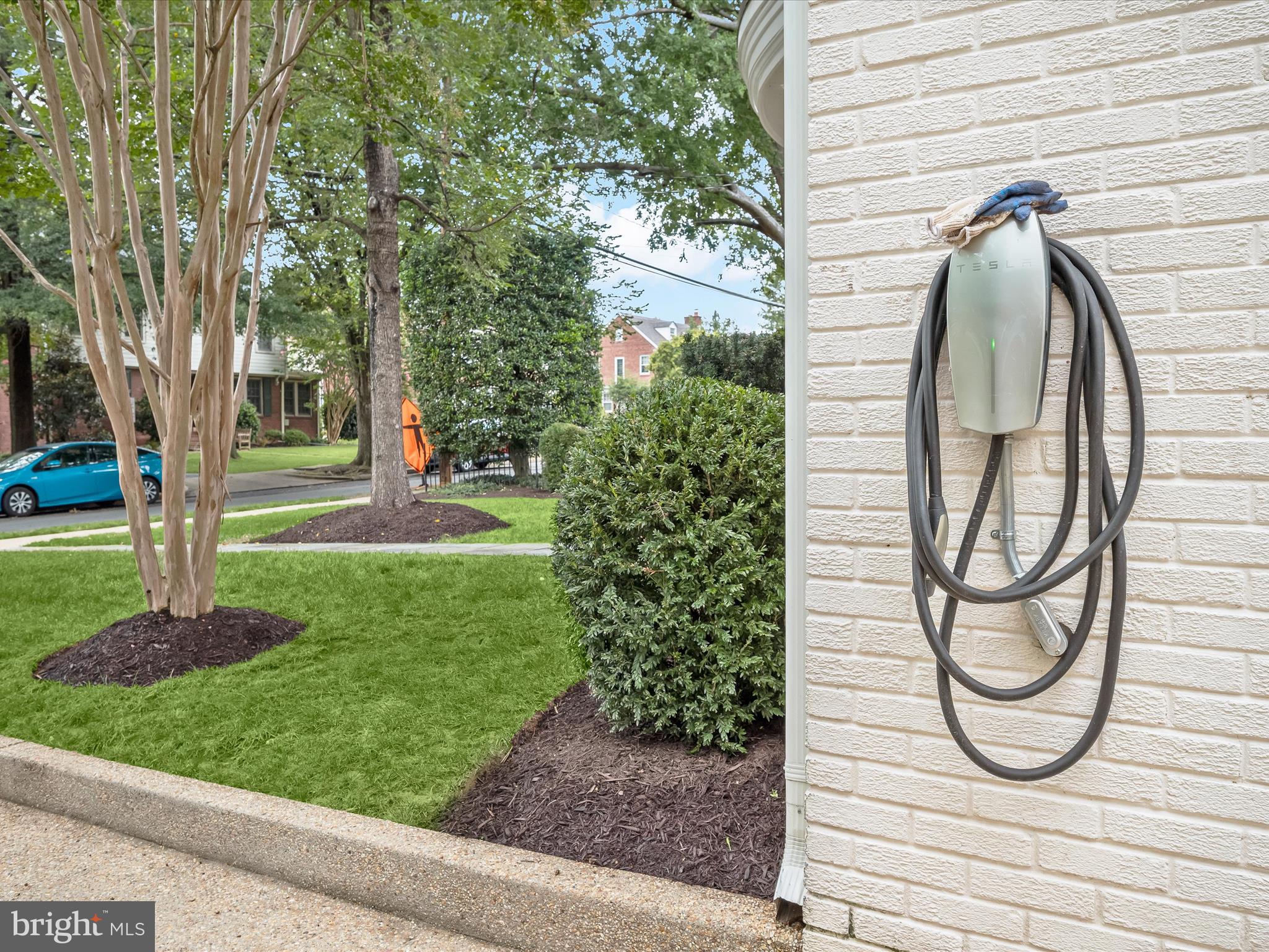 3118 17th Street North Arlington, VA 22201 - Photo 76 of 96 a view of a bird sitting on the side of a road