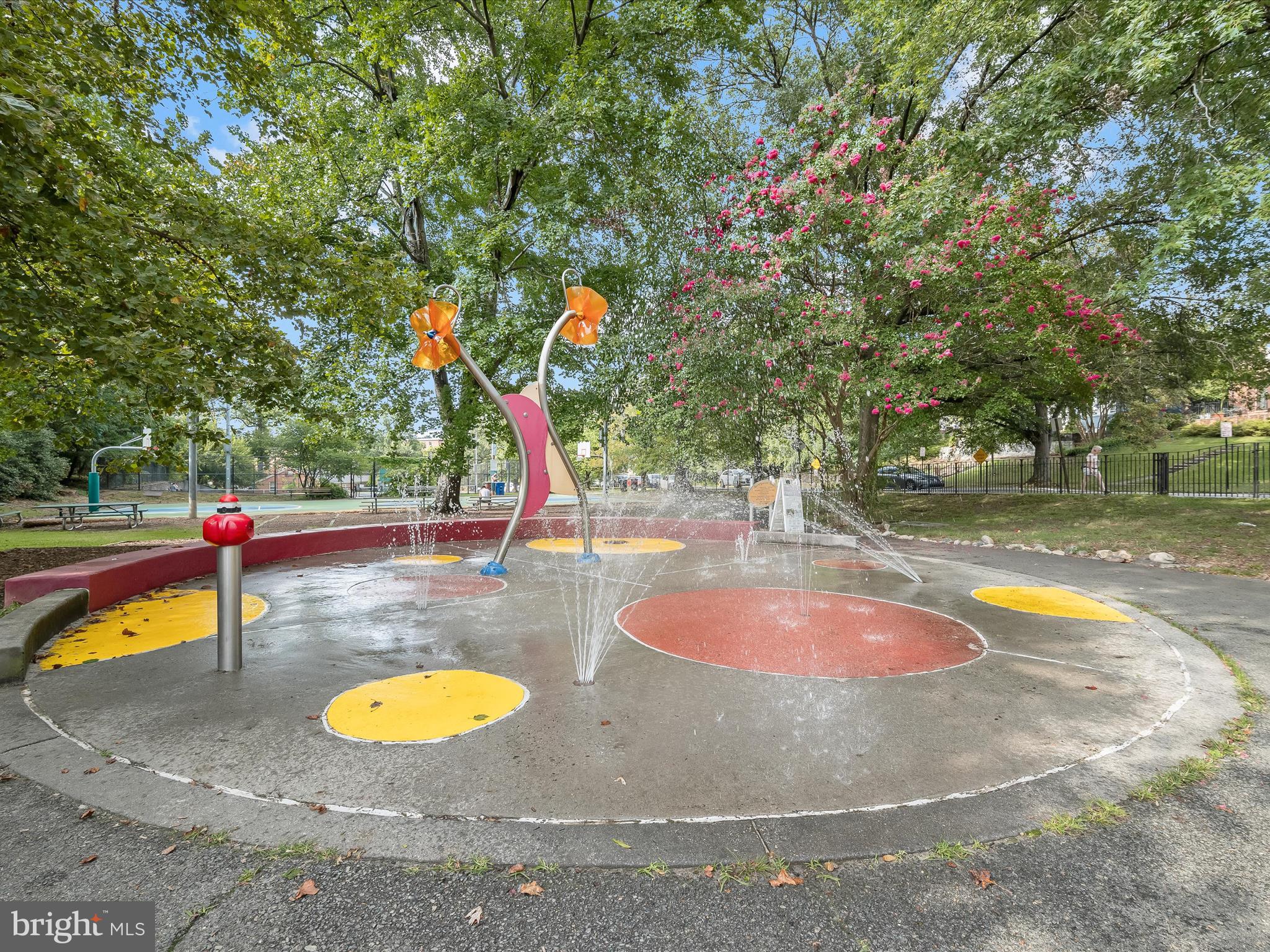 3118 17th Street North Arlington, VA 22201 - Photo 79 of 96 Lyon Park has a splash park to enjoy in the summer