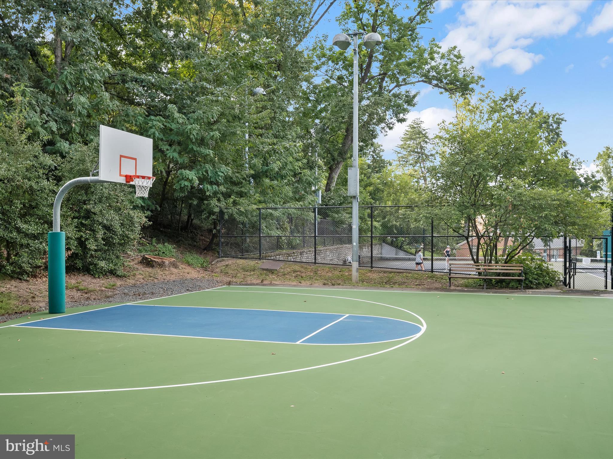 3118 17th Street North Arlington, VA 22201 - Photo 80 of 96 Hoops or where to learn to ride a bike!