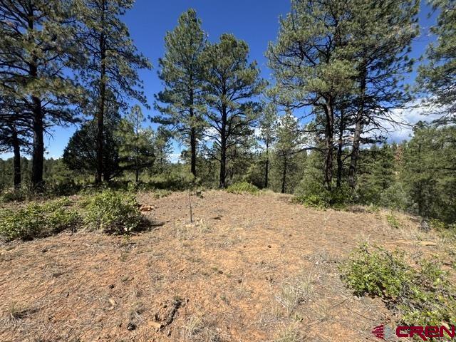 121 Engineer Point Pagosa Springs, CO 81147 - Photo 19 of 43
