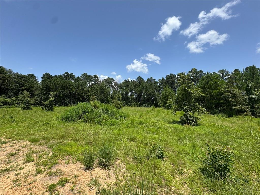 315 Gulde Road Trout, LA 71371 - Photo 3 of 8 Gallery Image 3