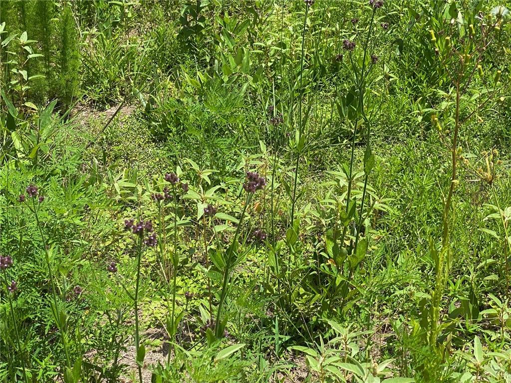 315 Gulde Road Trout, LA 71371 - Photo 6 of 8 Gallery Image 6