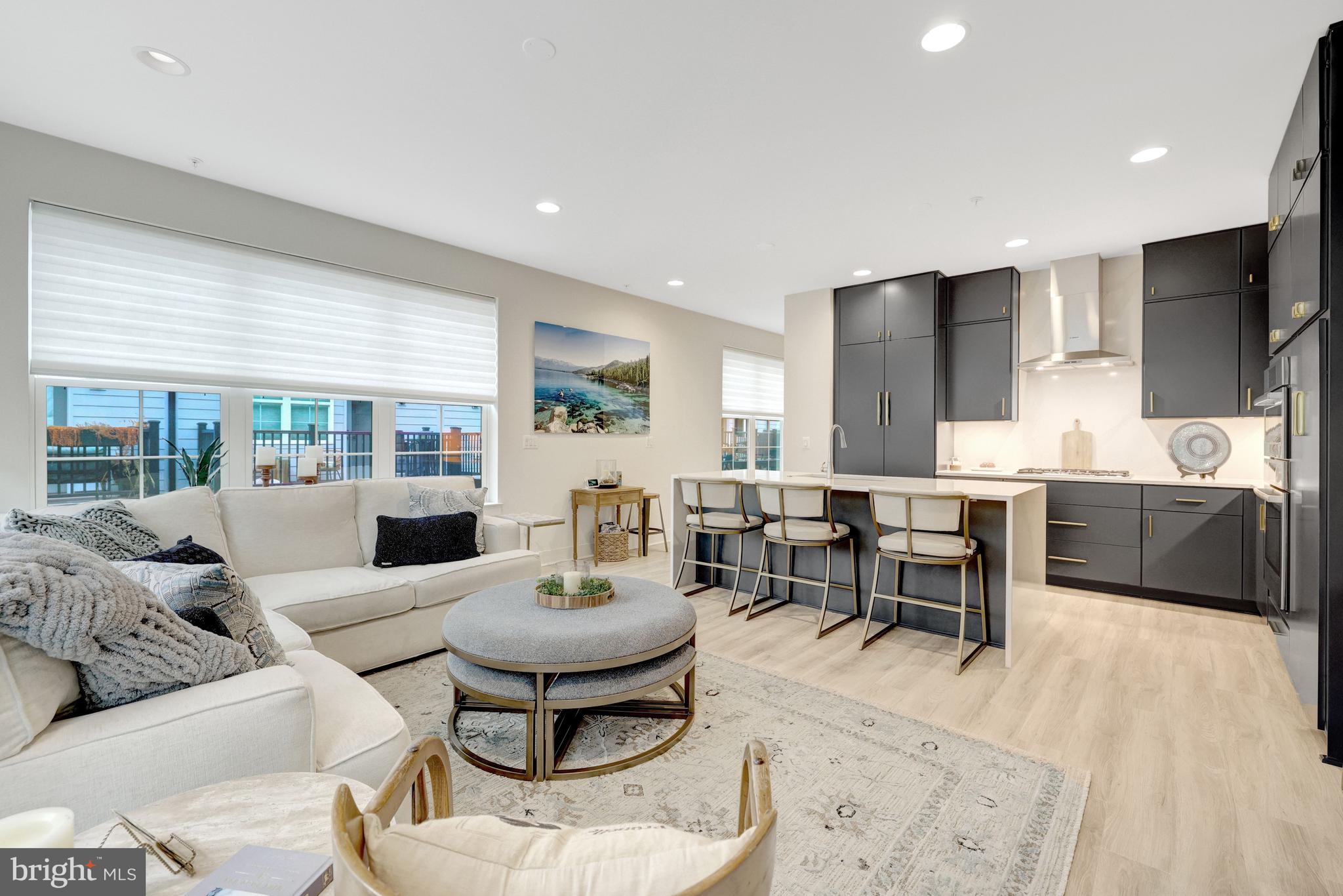 11236 Faraday Park Drive Reston, VA 20190 - Photo 19 of 74 Entertain or just relax!