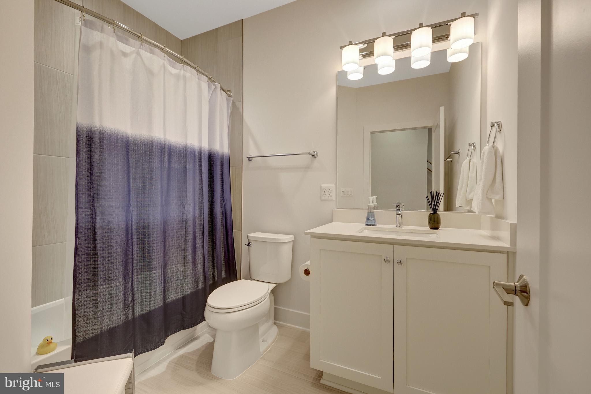 11236 Faraday Park Drive Reston, VA 20190 - Photo 40 of 74 a bathroom with a toilet a sink and mirror