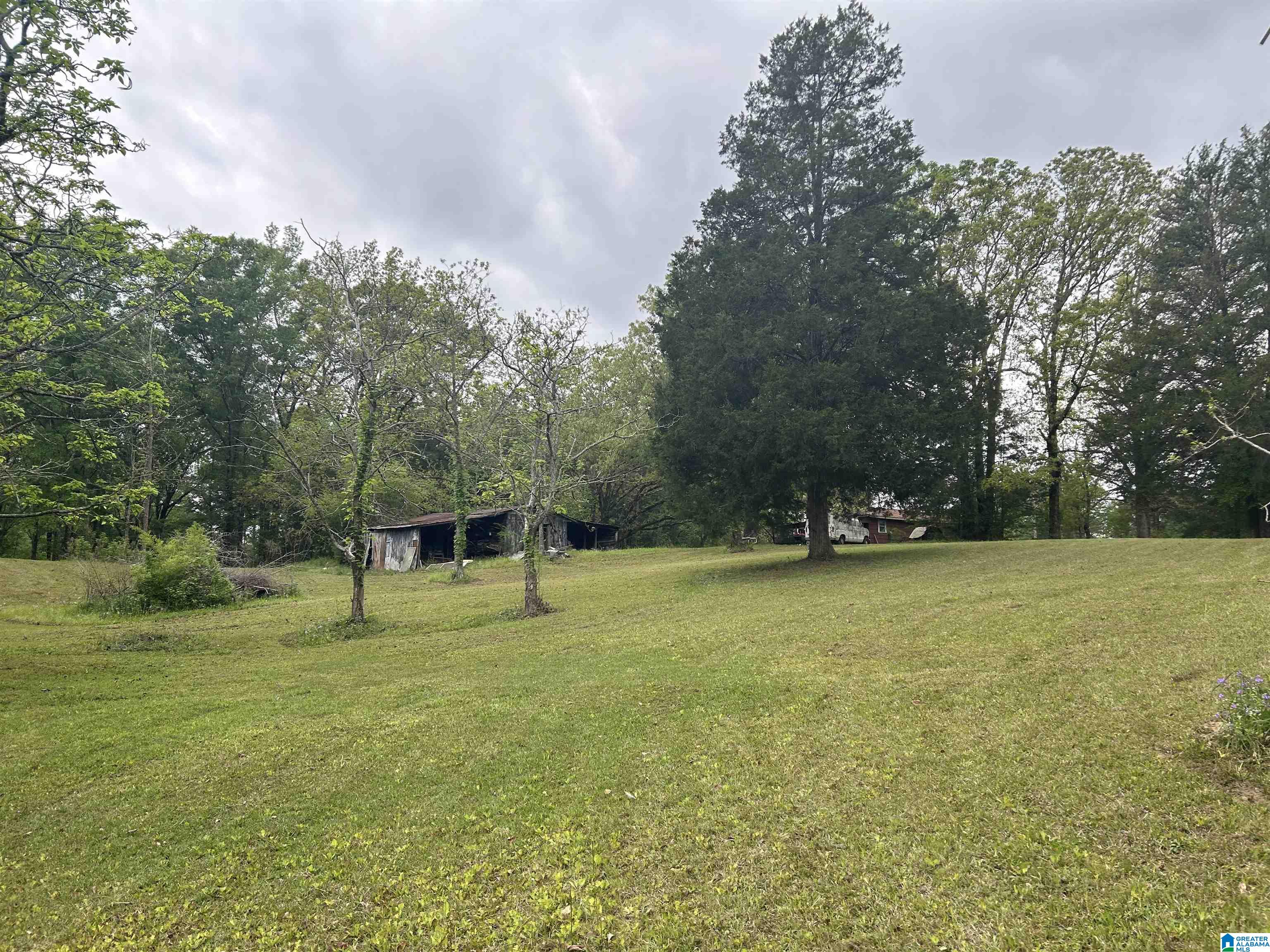 625 Dee Hendrix Road, Unit 6 9 ACRES Bessemer, AL 35023 - Photo 7 of 14