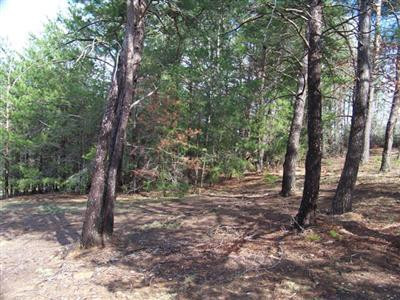 660 Right Angle Road Winchester, KY 40391 - Photo 11 of 49 Wooded area