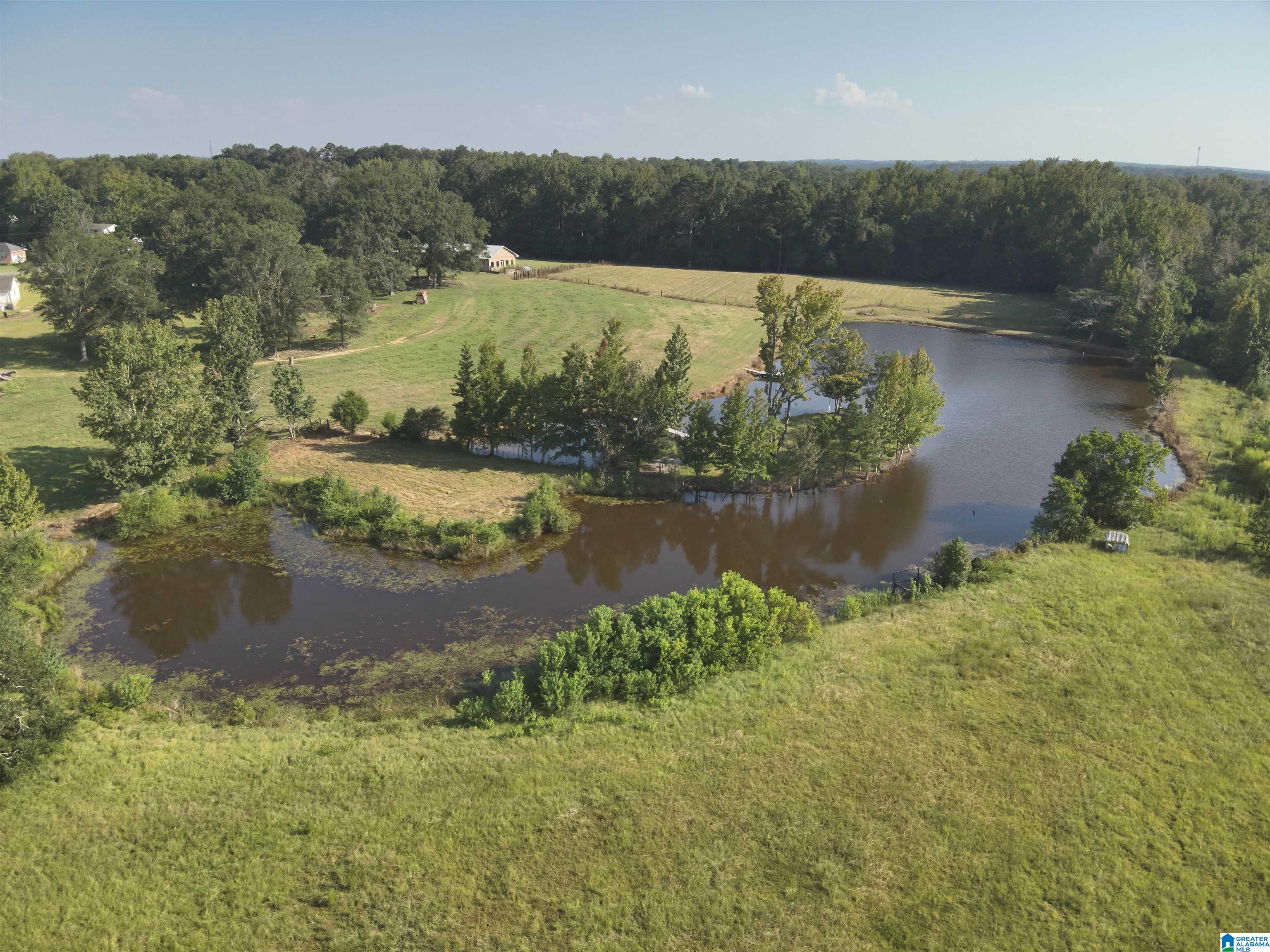 0 New Harmony Road, Unit 35 ACRES / Clanton, AL 35045 - Photo 10 of 21