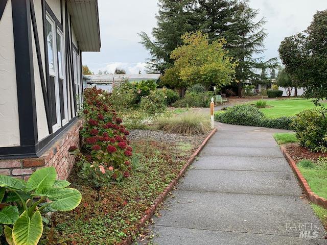 175 Westgate Circle Santa Rosa, CA 95401 - Photo 3 of 17 a view of a back yard with green space