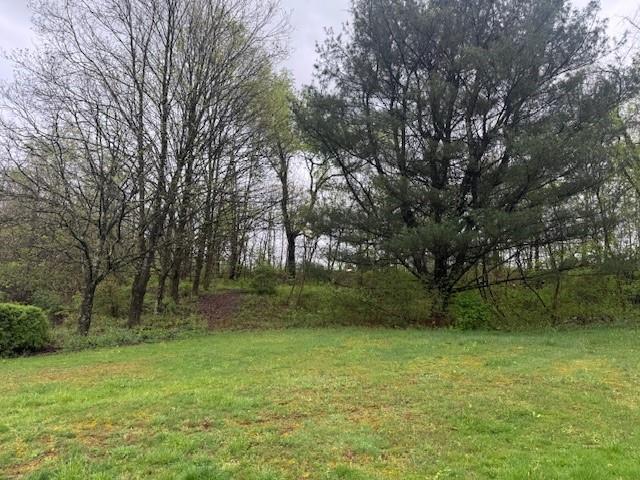 127 Georges Creek Road Smithfield, PA 15478 - Photo 2 of 20