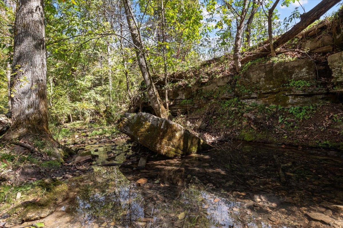 2887 Buck Branch Road Duck River, TN 38454 - Photo 21 of 42 Gallery Image 21