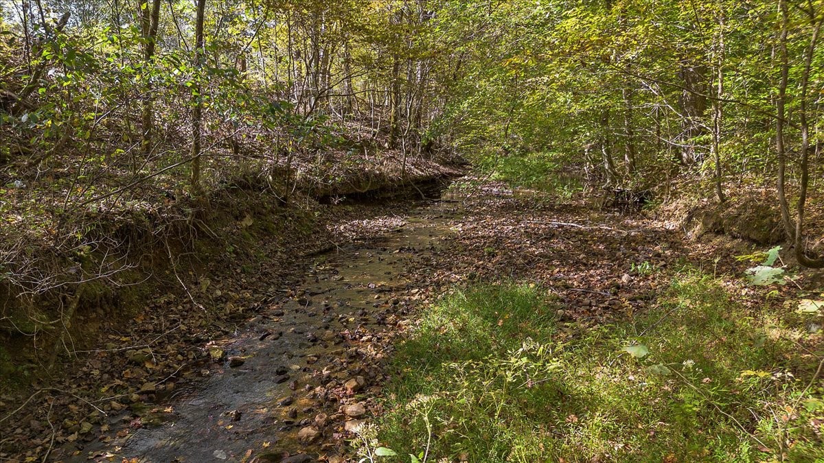 2887 Buck Branch Road Duck River, TN 38454 - Photo 22 of 42 Gallery Image 22