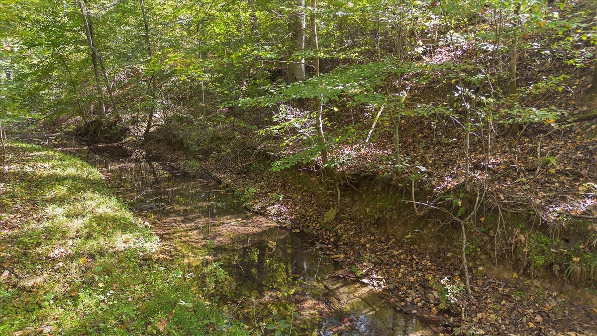 2887 Buck Branch Road Duck River, TN 38454 - Photo 23 of 42 Gallery Image 23