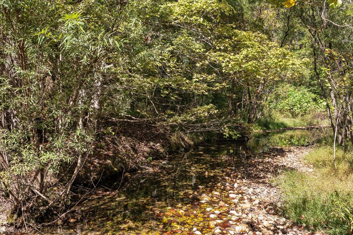 2887 Buck Branch Road Duck River, TN 38454 - Photo 26 of 42 Gallery Image 26