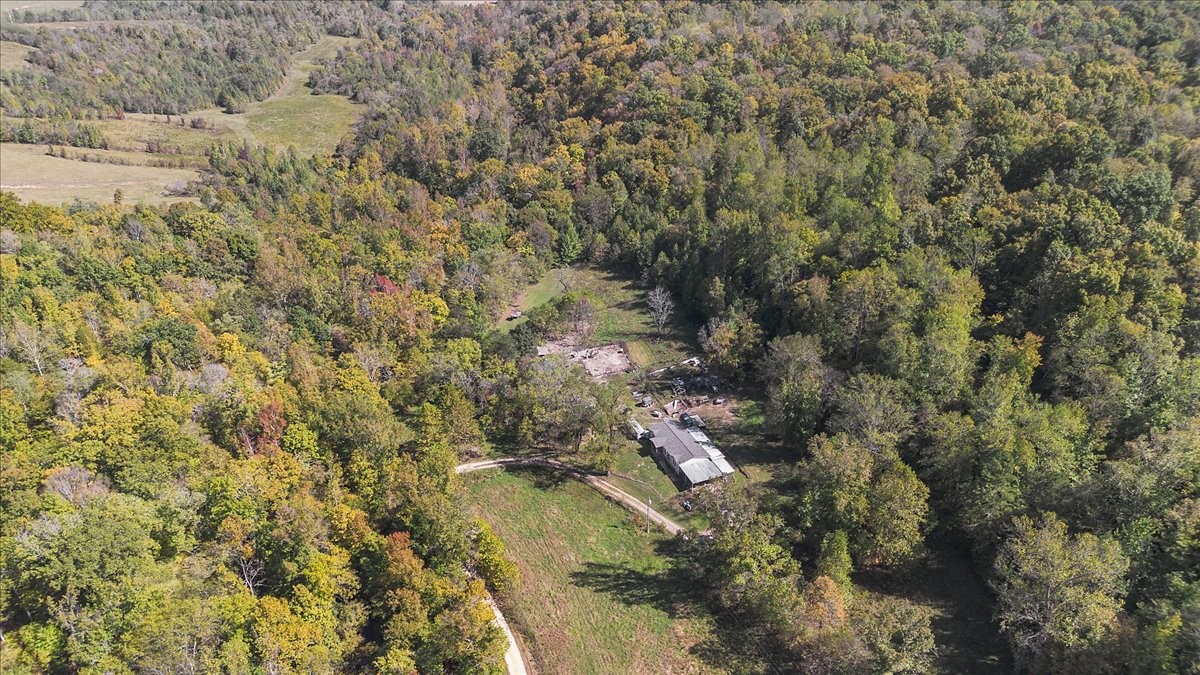 2887 Buck Branch Road Duck River, TN 38454 - Photo 29 of 42 Gallery Image 29