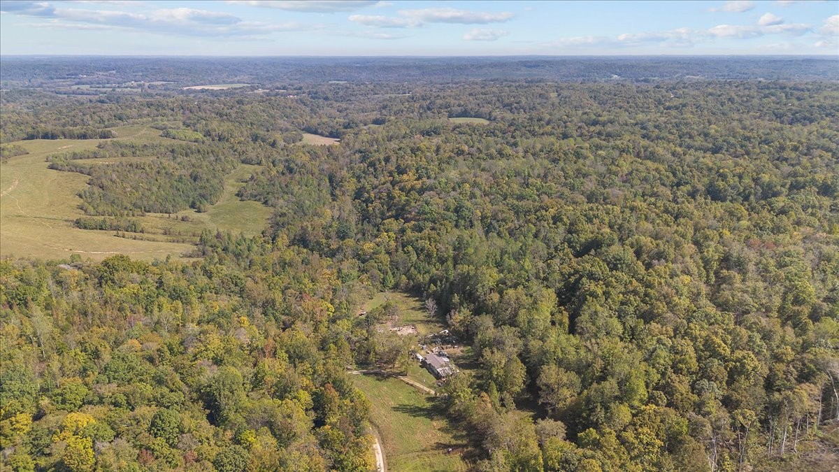 2887 Buck Branch Road Duck River, TN 38454 - Photo 30 of 42 Gallery Image 30