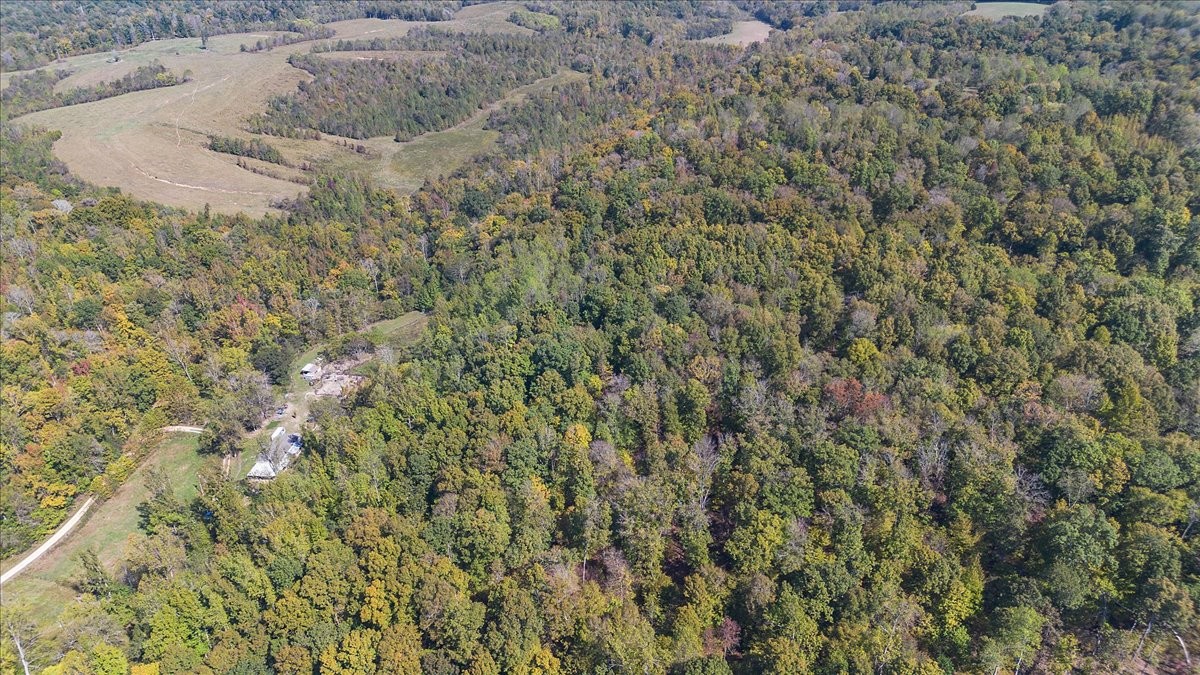 2887 Buck Branch Road Duck River, TN 38454 - Photo 34 of 42 Gallery Image 34