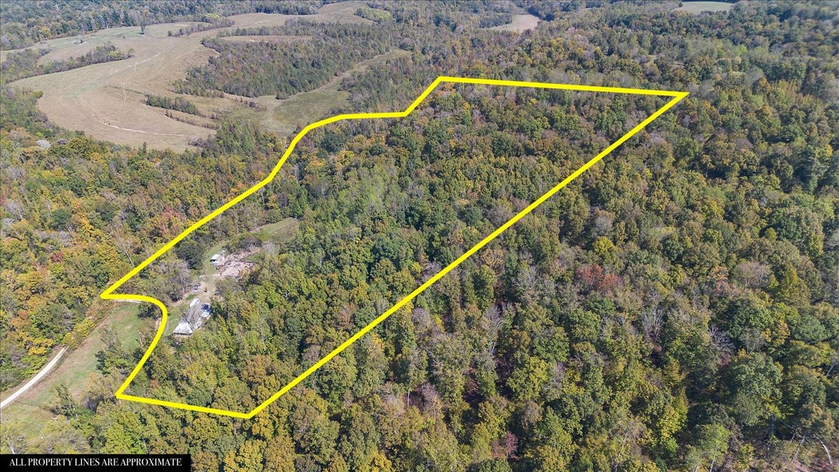 2887 Buck Branch Road Duck River, TN 38454 - Photo 35 of 42 Gallery Image 35