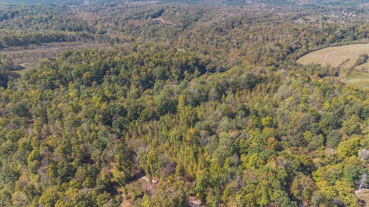 2887 Buck Branch Road Duck River, TN 38454 - Photo 36 of 42 Gallery Image 36