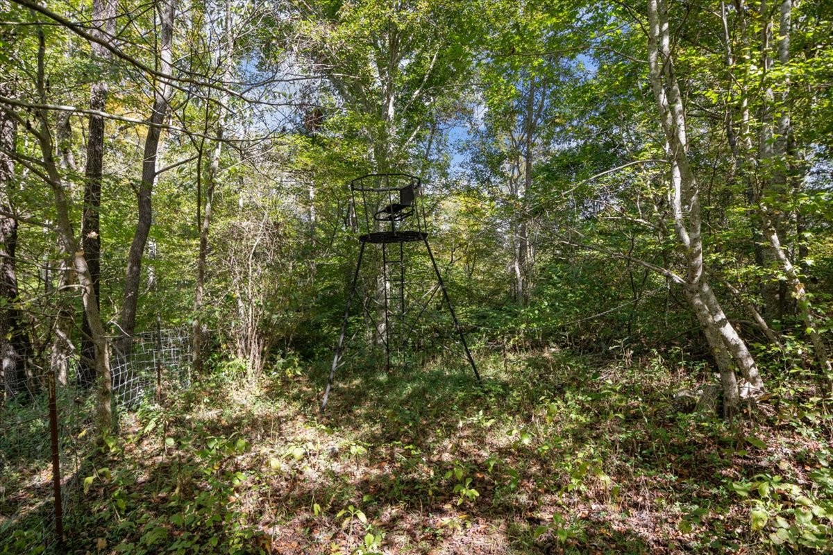 2887 Buck Branch Road Duck River, TN 38454 - Photo 38 of 42 Gallery Image 38