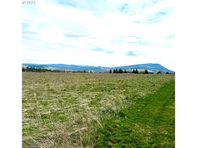 a view of a large body of water and mountain