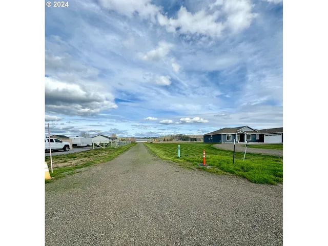 a view of a big yard with potted plants