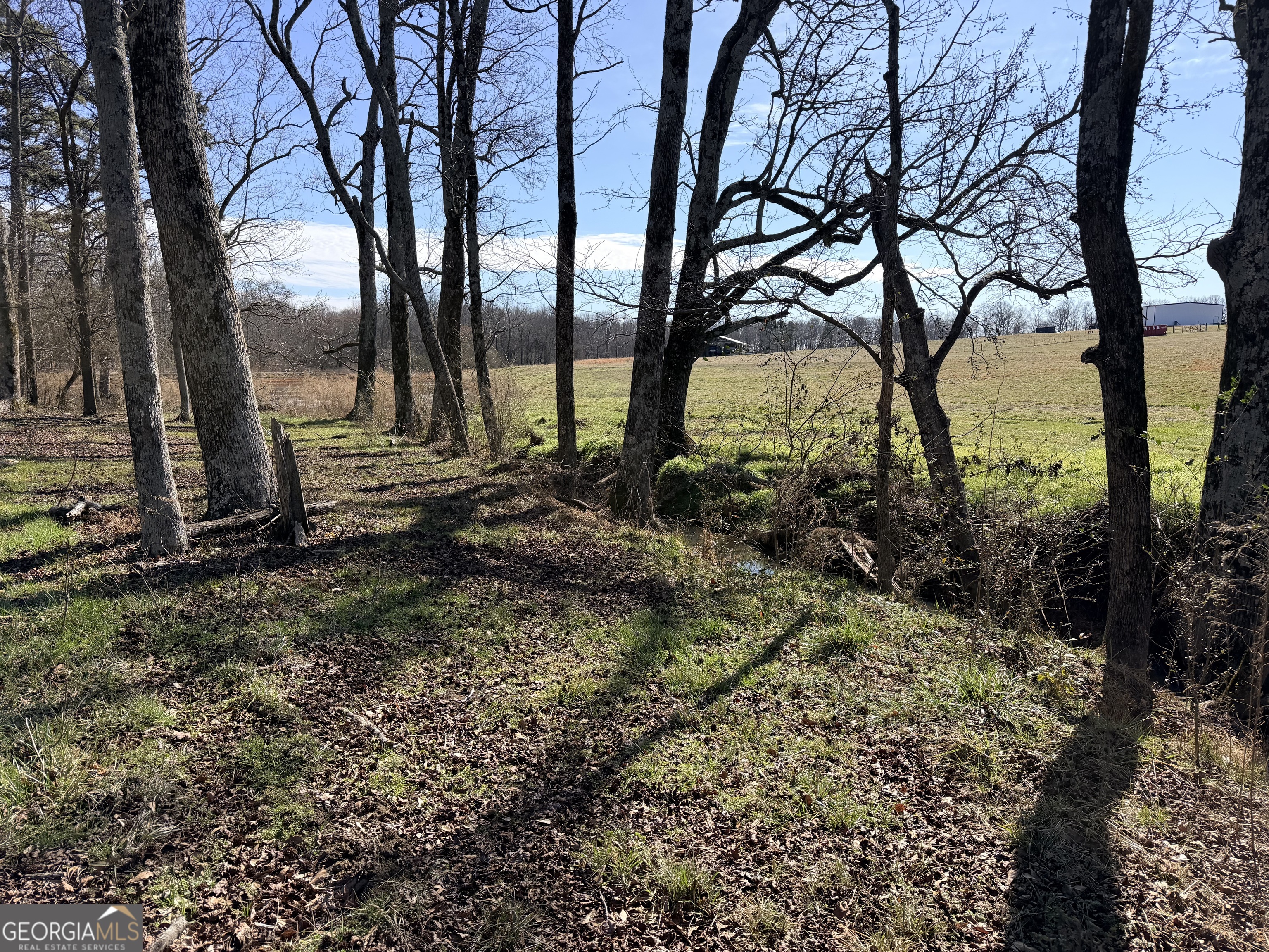 0 Adams Duncan Road, Unit TRACT 2 Hull, GA 30646 - Photo 5 of 7