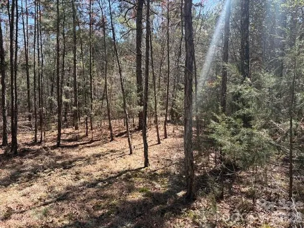a view of a yard with trees