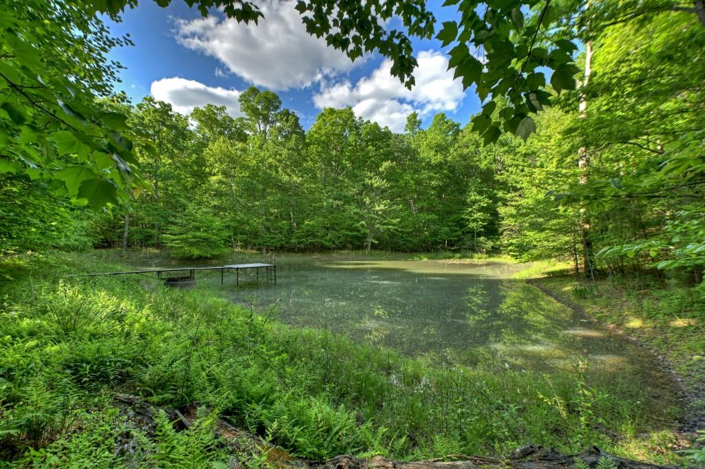 8.52 Ac Mcnelley Road Morganton, GA 30560 - Photo 2 of 47